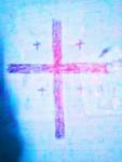   Jesus follower